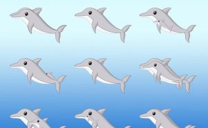 Test koji je zbunio mnoge: Koliko delfina se nalazi na slici?