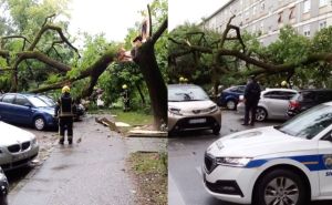 Nesreća u Zagrebu: Stablo palo na automobil u pokretu, žena čudom izvukla živu glavu
