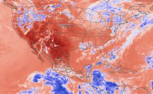 Toplotni val u Meksiku odnio više od 100 života