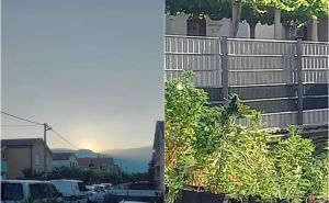 Otkrivena laboratorija za uzgoj marihuane u Mostaru, pronađene stabljike