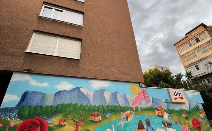 Kompanija dm otkrila razloga uklanjanja murala na Grbavici