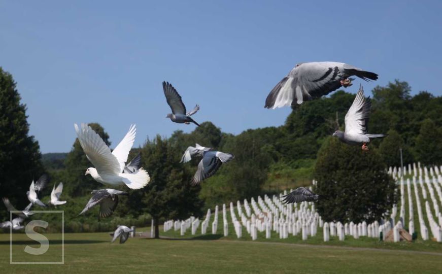 Memorijalni let za žrtve genocida u Srebrenici: U Potočarima pušteno 350 golubova mira