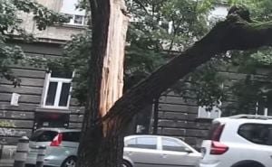 Nevrijeme u Zagrebu: Jedna osoba povrijeđena, vatrogasci na terenu