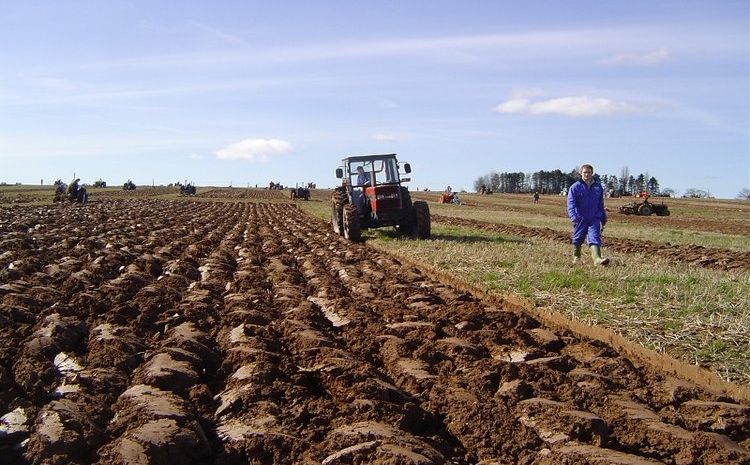 Udruženje poljoprivrednika FBiH traži isti tretman poljoprivrednika po pitanju plaćanja šteta