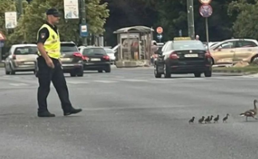Predivna slika: Policija u Sarajevu zaustavila saobraćaj zbog neobičnih pješaka