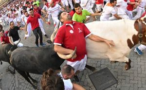 Ljudi u Španiji dvije minute trčali s bikovima: Epilog - petero u bolnici