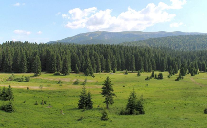 Vlada Kantona Sarajevo odobrila projekt: Veliko polje na Igmanu će dobiti novi sadržaj