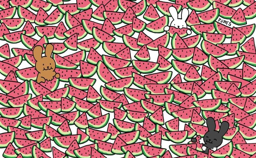 Ljetna mozgalica: Koliko lubenica bez košpica možete pronaći na slici?
