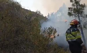 Požar na La Palmi van kontrole, evakuirano 4.000 stanovnika