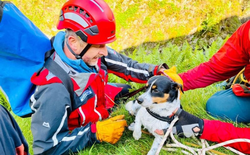 Heroji na djelu: Volonteri spasili psa koji je pao niz vodopad
