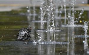 Tropske vrućine pogodile Bosnu i Hercegovinu: U ovom gradu izmjerena 42 stepena