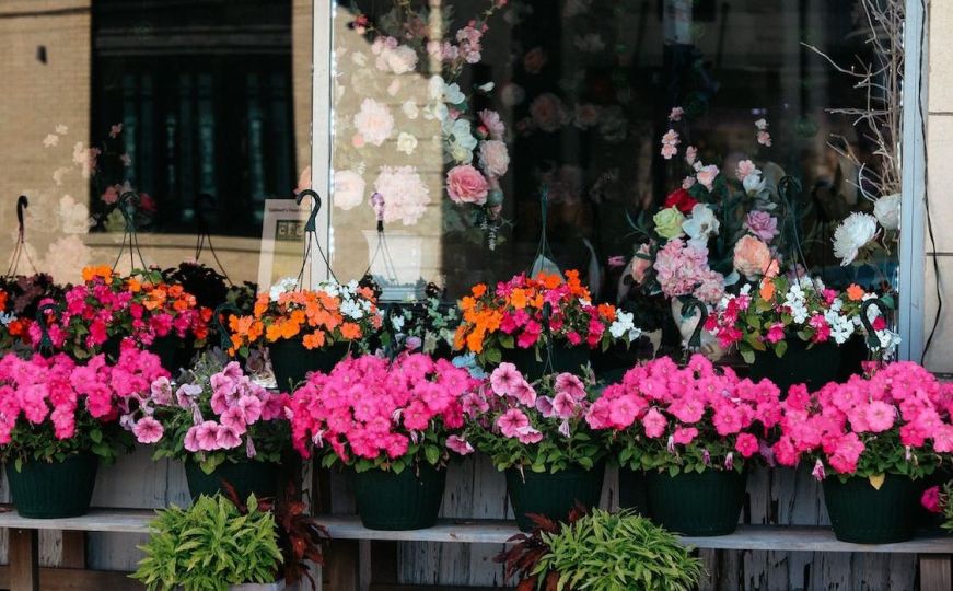 Cvijeće za ljetne vrućine: Evo koje biljke možete izabrati i kako ukrasiti balkon