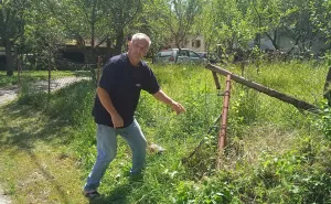 Nesvakidašnji slučaj u BiH: Medvjed razvalio ogradu, ušao u dvorište i 'počastio se' medom