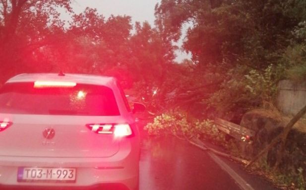Oluja stigla u BiH, vjetar u Banjoj Luci čupao znakove i obarao drveće