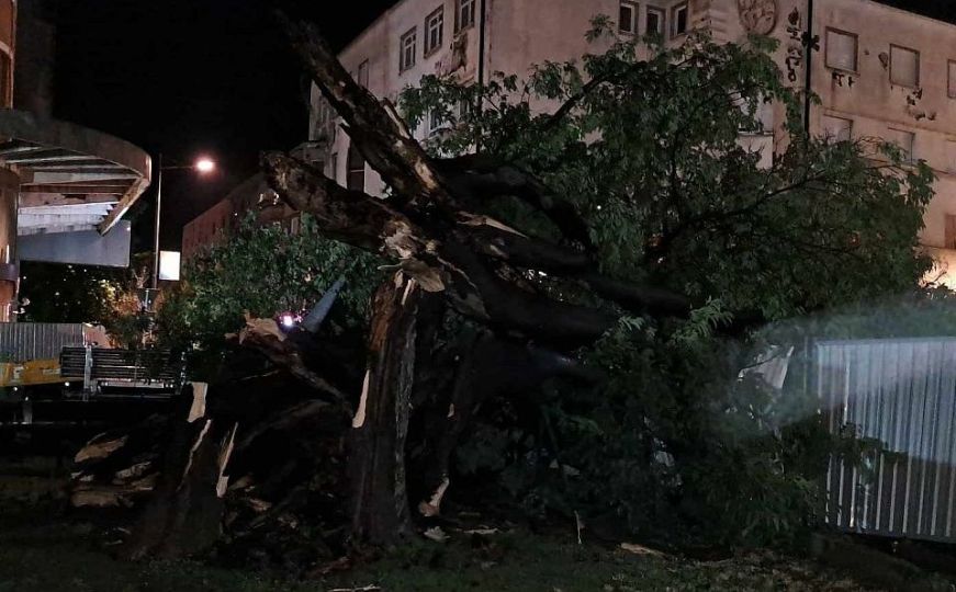 Oluja u Srbiji ne prestaje rušiti: Uništen čuveni koprivić, proglašen za Spomenik prirode