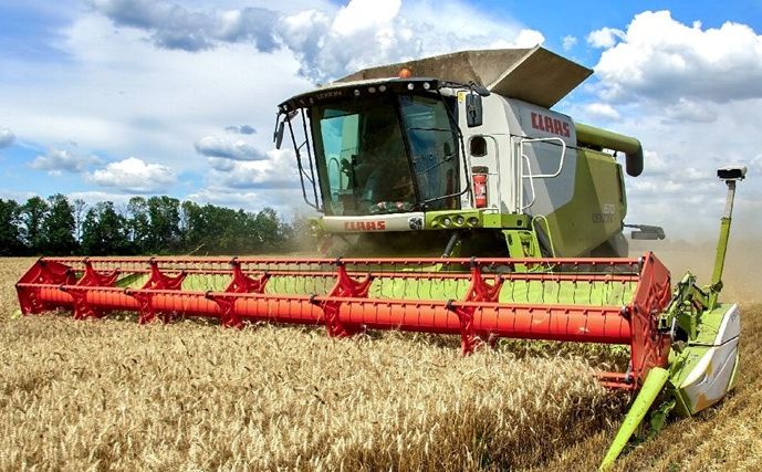 Slijede li nam nova poskupljenja: Cijena pšenice ponovo se 'vinula u nebo'