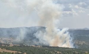 Vjetar razbuktao vatrenu stihiju u BiH: Izbio veliki požar, vatrogasci na terenu