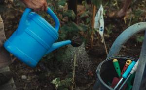 Šest korisnih savjeta: Stručnjaci otkrili kako održati svoj vrt dok ste na odmoru