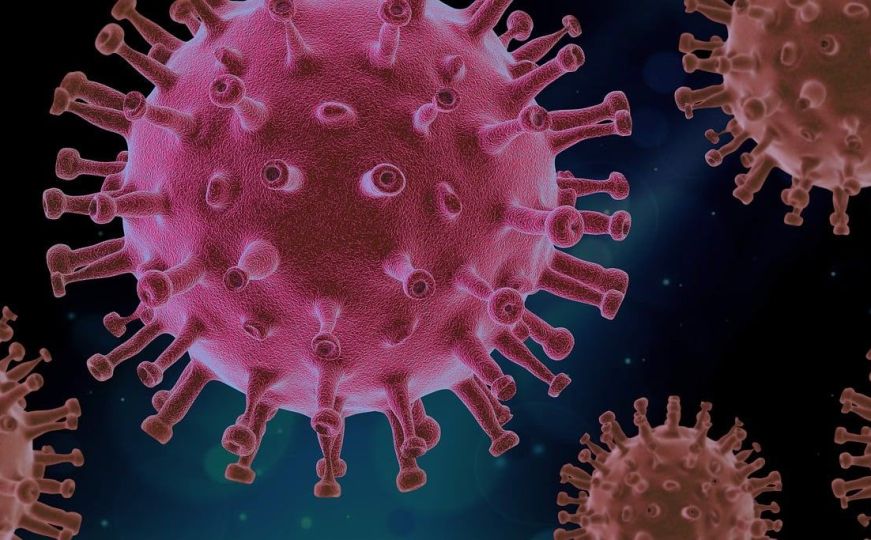 Nova priča o porijeklu COVID-u 19: U šta su naučnici sumnjali kad se pojavio koronavirus?