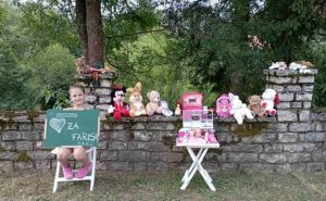 Svaka čast: Djevojčica Ilma iz BiH prodaje svoje igračke kako bi pomogla u liječenju Farisa Sake