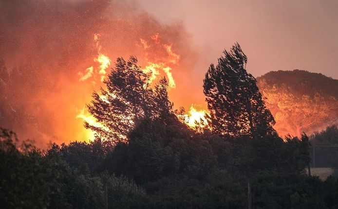 Požari bjesne na Mediteranu: Poginulo više od 40 ljudi, hiljade evakuisanih