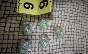 Pretresi u Banjoj Luci: Policajci "češljali" na dvije lokacije, zaplijenjena marihuana