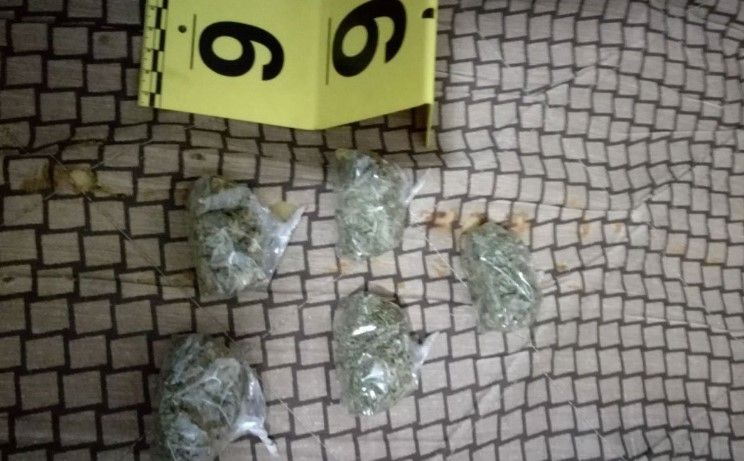 Pretresi u Banjoj Luci: Policajci "češljali" na dvije lokacije, zaplijenjena marihuana