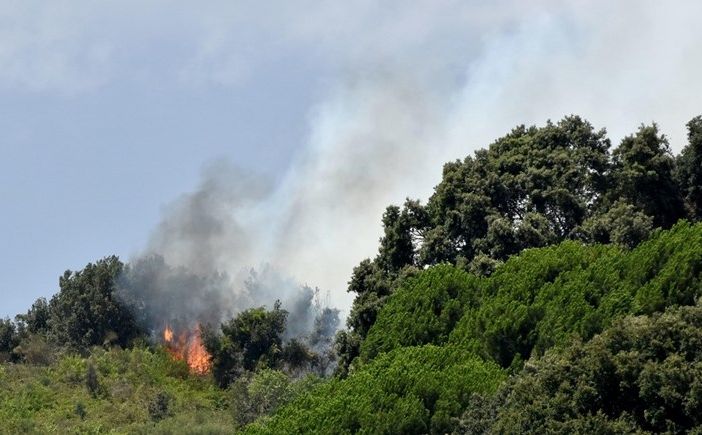 Požari na jugu Italije ne prestaju, vatrogasci još uvijek vode borbu sa vatrom na Siciliji