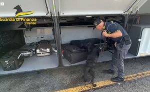 Policijski pas u Italiji nanjušio više od milion eura skrivenih u koferima, pogledajte video akcije