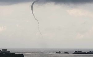 Pijavica na moru kod Dubrovnika, objavljena prva fotografija