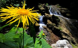 Vrelo Miljacke - skriveni biser prirode