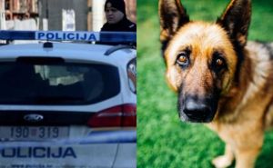 Upucao psa u Hrvatskoj: "Pepi nikoga nije ugrizao, psihopatu sam prijavila"