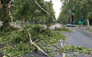 Italija se sprema za olujno nevrijeme: U Milanu se zatvaraju pijace, groblja, parkovi...