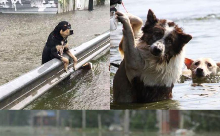 Društvenim mrežama kruže fotografije koje su nastale u ranijim poplavama, nisu iz Slovenije