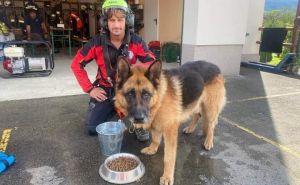 Predivna priča iz Slovenije: GSS spasio psa i vratio ga vlasnicima