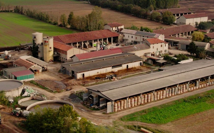 Italija: Preminuo vlasnik mljekare na koga je palo 25.000 kolutova sireva iz skladišta