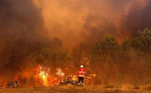 Veliki šumski požar bjesni u Portugalu: Sa vatrenom stihijom se bori više od 800 vatrogasaca