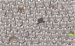Mozgalica zaludila korisnike društvenih mreža: Vidite li mačku među hrpom rakuna?