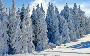 Šta znači sanjati zimu: Iako je ljeto, ovakvi snovi su česti i puni simbola