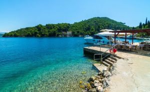 Turisti u Hrvatskoj snimili zastrašujući prizor u moru: "Šta je ovo ajme? Kako ona pliva?"
