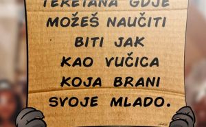 Midhat Kapetanović ilustracijom Vučka odao počast ubijenoj Nizami Hećimović