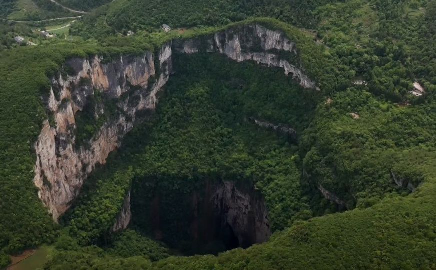 Zavirite sa nama u drevni šumski svijet: U Kini otkriven prirodni fenomen, naučnici ga još istražuju