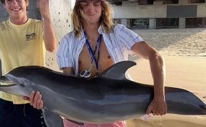 Beba delfina uginula zbog fotografije za Instagram? Ovo prelazi svaku mjeru