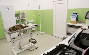Jedini u BiH: U Sarajevu otvoren Urgentni centar za hitnu pomoć životinjama