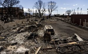 Posljedice najsmrtonosnijeg šumskog požara u SAD: Na Havajima još uvijek preko 300 nestalih