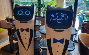 Ovome se nismo nadali: Roboti konobari posluživat će goste u još jednom bh. gradu