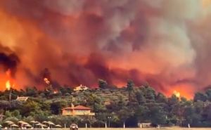 Grčka ne pamti ovakvu katastrofu: U požarima izgorjelo područje veće od New Yorka