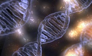 Otkriće koje može promijeniti svijet: Naučnici uspješno prenijeli gen dugovječnosti