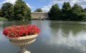 Kraljevski botanički vrt Kew u Londonu: Najstariji i jedan od najvažnijih u svijetu