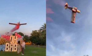 Horor na zabavi: Htjeli otkriti spol bebe, a u pozadini se dešavala strašna tragedija